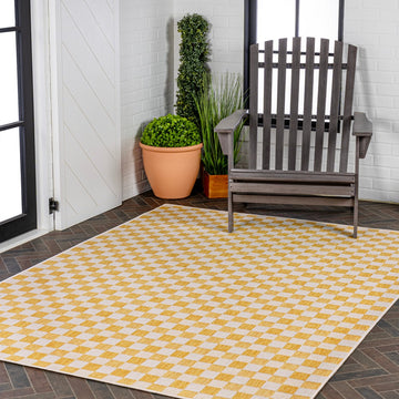 Aimee Traditional Cottage Checkerboard Indoor/Outdoor Area Rug